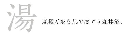 森羅万象を肌で感じる森林浴。